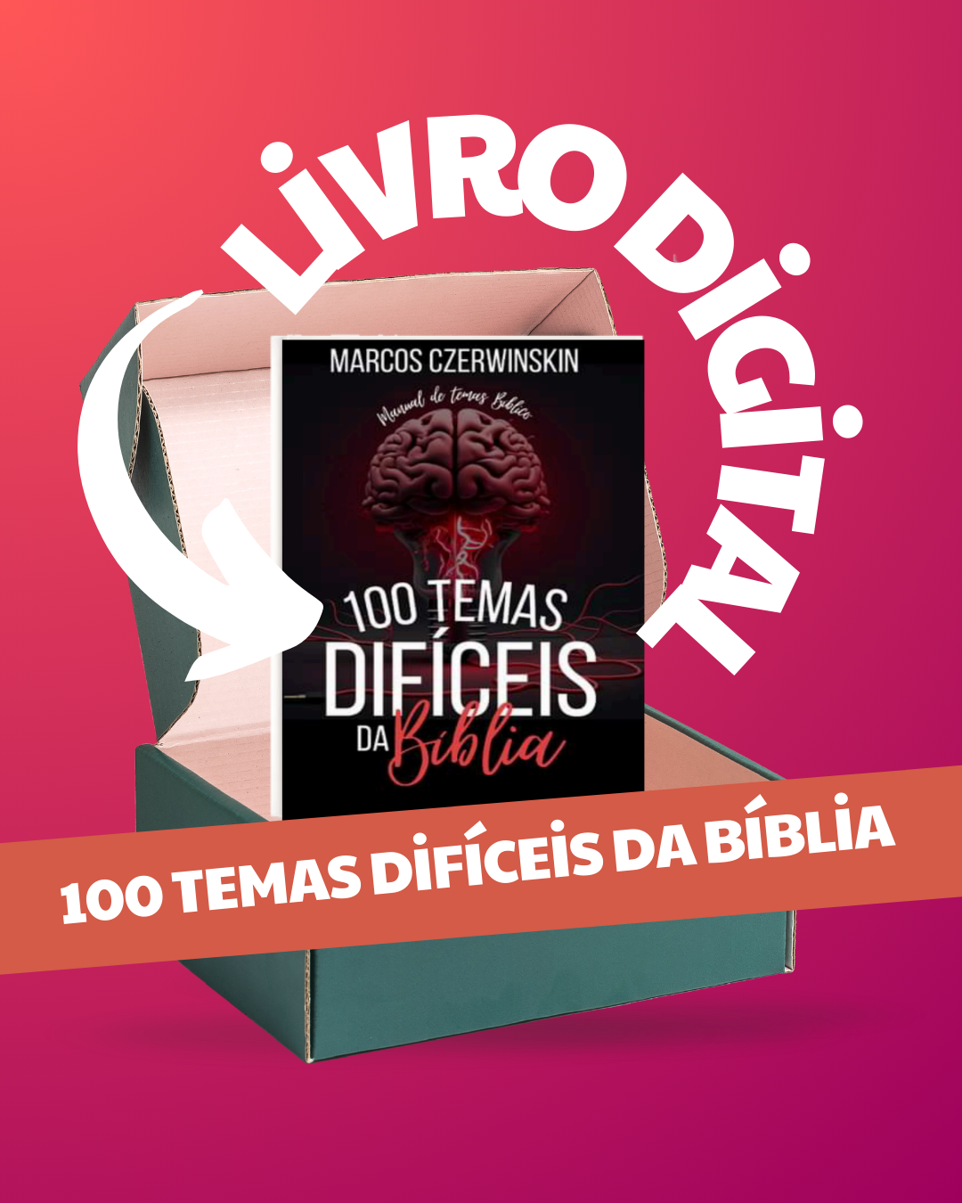 100 Temas Difíceis da Bíblia 